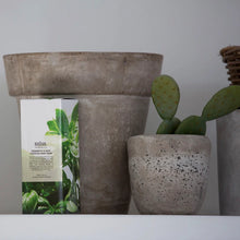 Load image into Gallery viewer, Cedarwood & Basil Cleansing Hand Wash 500mls