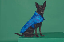Load image into Gallery viewer, Dog Coat - Blue Monogram