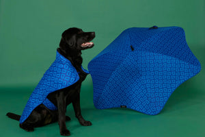Dog Coat - Blue Monogram
