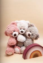 Load image into Gallery viewer, Billy the Bear Soft Toy