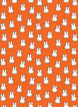 Load image into Gallery viewer, All Wrapped Up - Miffy by Miffy