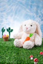 Load image into Gallery viewer, Willow the Rabbit Soft Toy