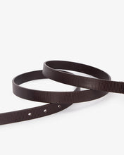Load image into Gallery viewer, Adele Belt - Chocolate Lizard