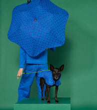 Load image into Gallery viewer, Dog Coat - Blue Monogram