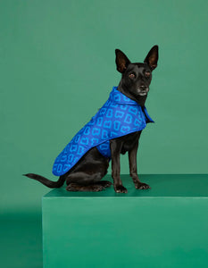 Dog Coat - Blue Monogram