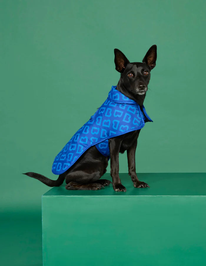 Dog Coat - Blue Monogram