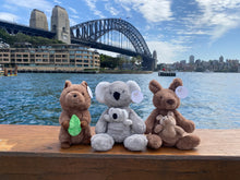 Load image into Gallery viewer, Koko the Kangaroo &amp; Jojo Soft Toy