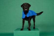Load image into Gallery viewer, Dog Coat - Blue Monogram