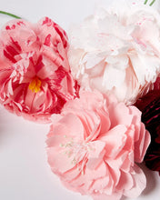 Load image into Gallery viewer, Paper Making Flower Kit