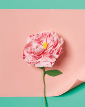 Load image into Gallery viewer, Paper Making Flower Kit
