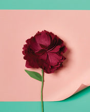 Load image into Gallery viewer, Paper Making Flower Kit