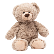 Load image into Gallery viewer, Billy the Bear Soft Toy