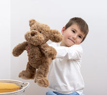 Load image into Gallery viewer, Barney the Dog Soft Toy