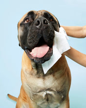 Load image into Gallery viewer, DOG Wipes