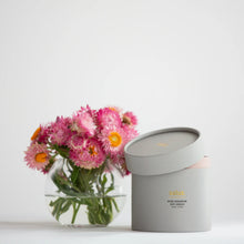 Load image into Gallery viewer, Soy Candle - Rose Geranium